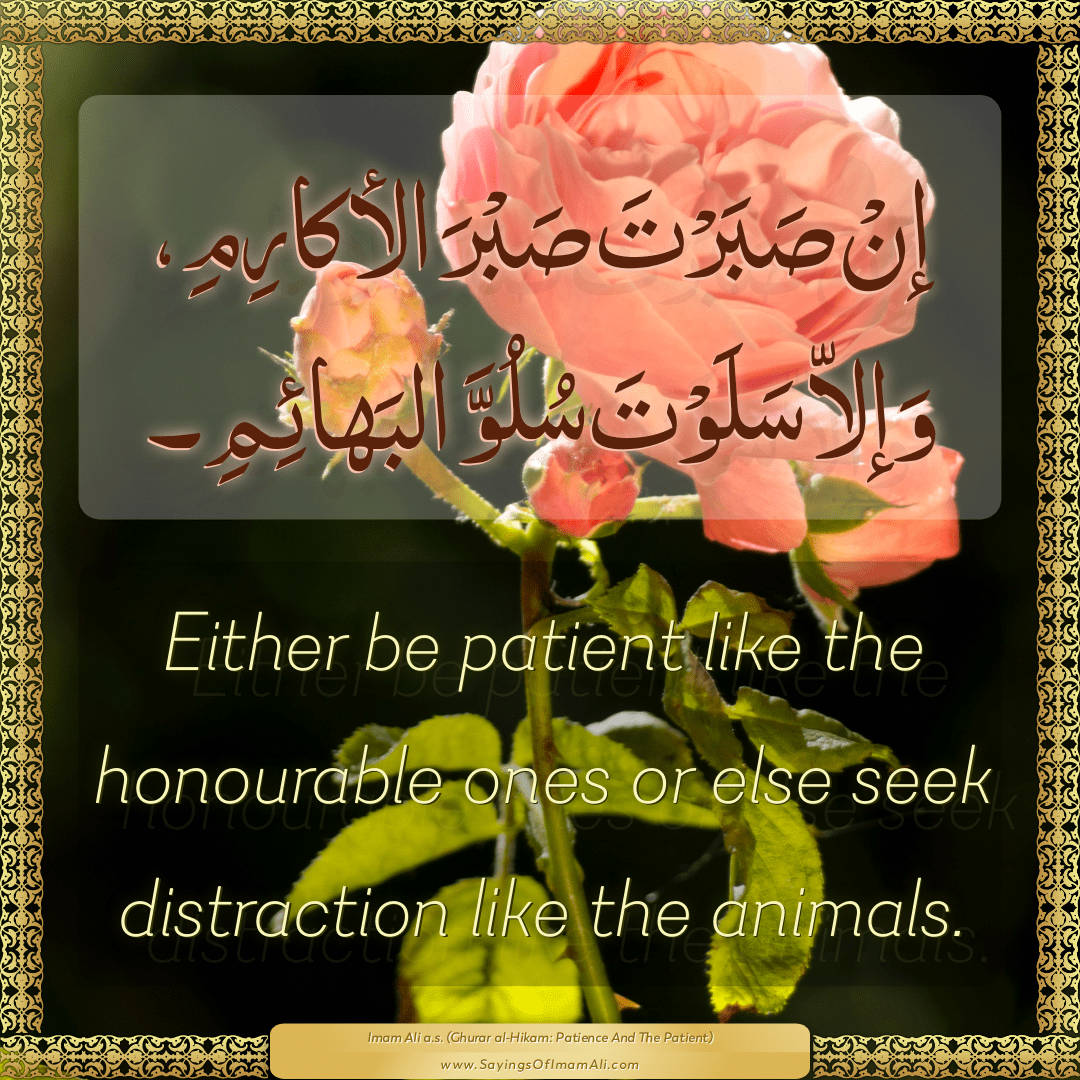 Either be patient like the honourable ones or else seek distraction like...